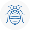 Bed Bug Extermination In West Lancashire